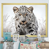 Jungle Leopard Stalk I - Animals Canvas Wall Art