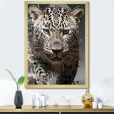 Leopard Mysterious Hunter - Leopard Living Room Wall Art