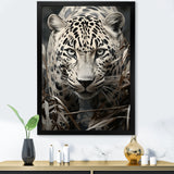 Graceful Leopard Predators In The Wild - Gray Leopard Wall Art