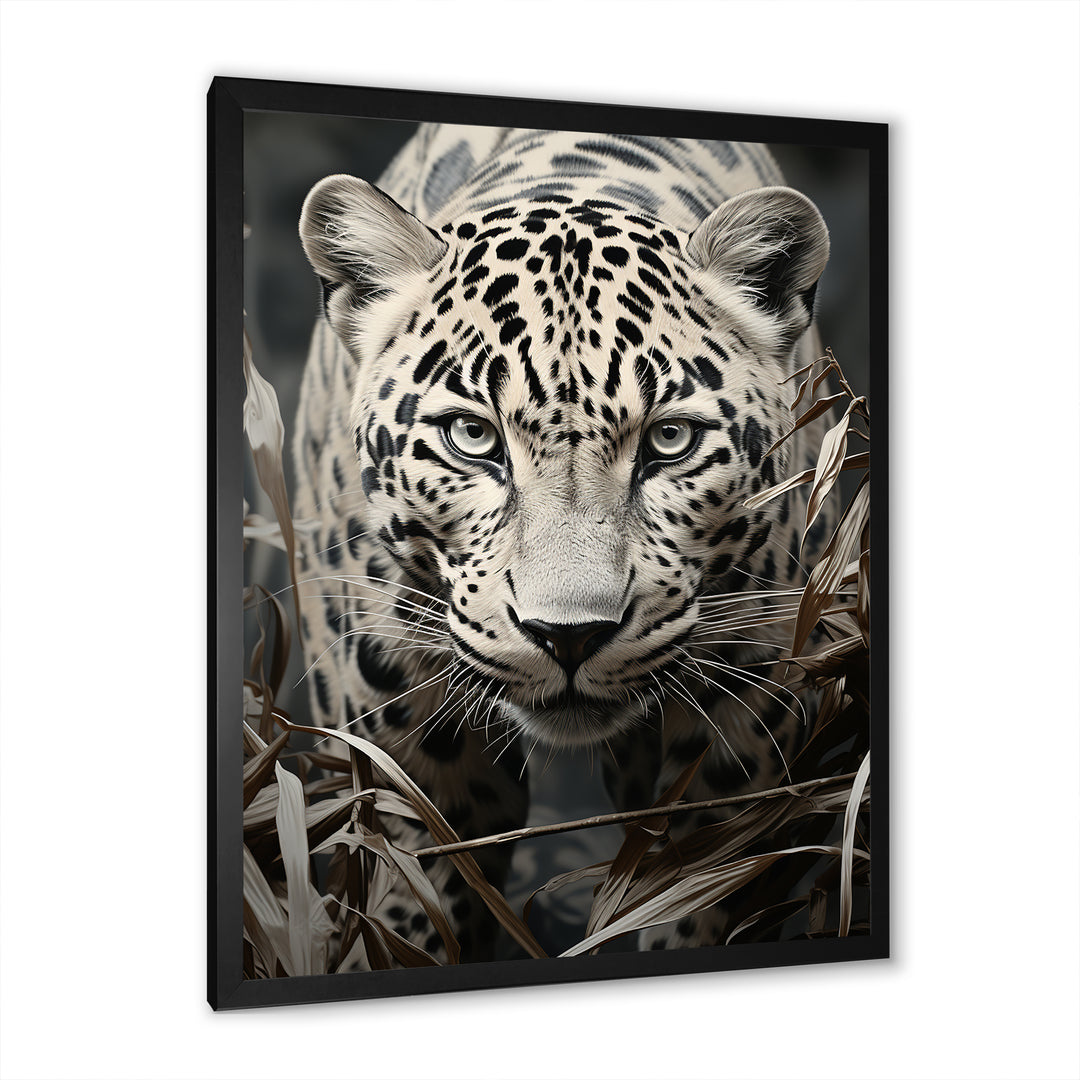 Graceful Leopard Predators In The Wild - Gray Leopard Wall Art