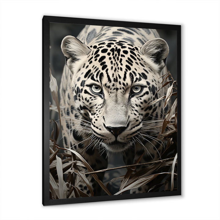 Graceful Leopard Predators In The Wild - Gray Leopard Wall Art