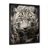 Graceful Leopard Predators In The Wild - Gray Leopard Wall Art