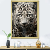 Graceful Leopard Predators In The Wild - Gray Leopard Wall Art