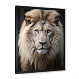 Lions Monochrome Photography - Lion Canvas Wall Art