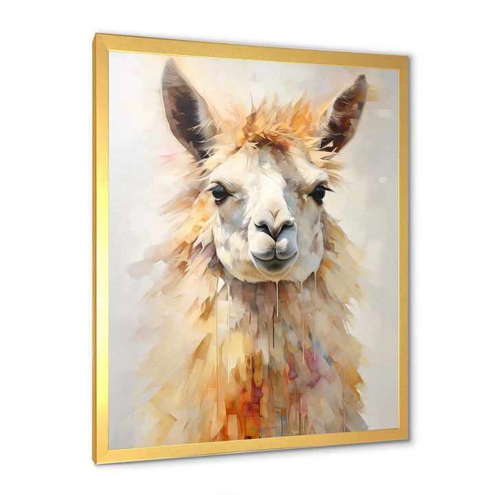 Furry Llama Portrait - Llama Wall Art Prints