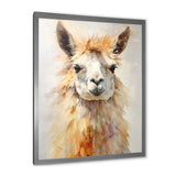 Furry Llama Portrait - Llama Wall Art Prints
