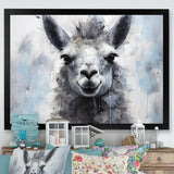 Grey Llama Portrait - Gray Llama Wall Art