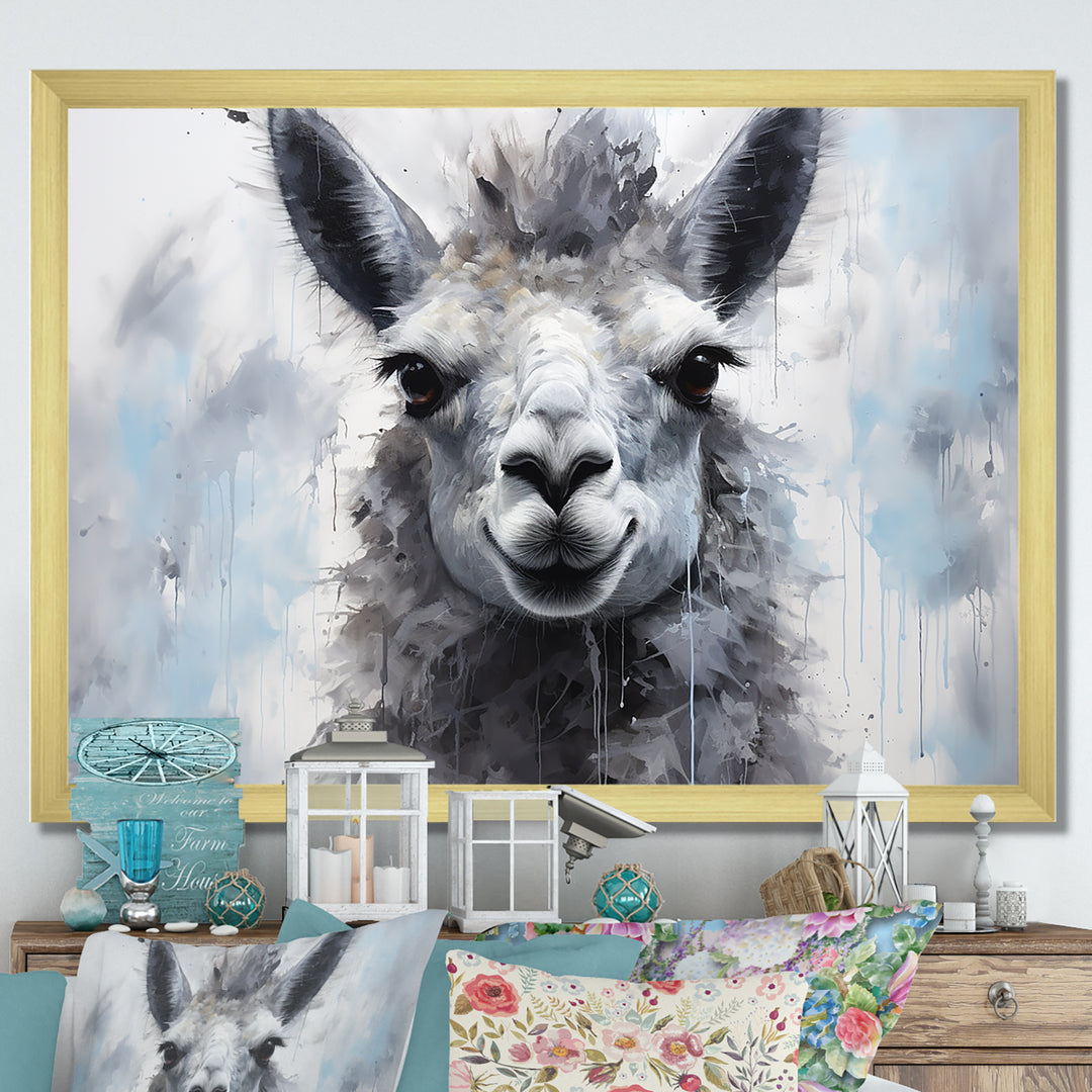 Grey Llama Portrait - Gray Llama Wall Art