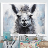 Grey Llama Portrait - Gray Llama Wall Art