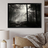 Black And White Forest Silence Photography I - Landscapes Canvas Wall Art