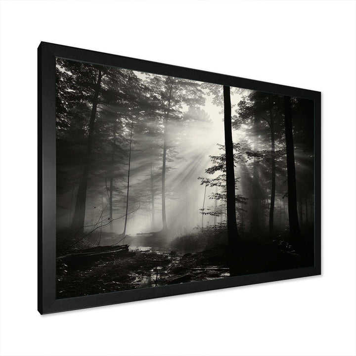 Black And White Forest Silence Photography I - Landscapes Canvas Wall Art