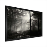 Black And White Forest Silence Photography I - Landscapes Canvas Wall Art