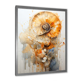 Golden Nautilus Spiral - Nautilus Wall Art Prints