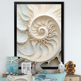 Ivory Infinity Sea Sheel Spiral - Nautilus Framed Canvas Art