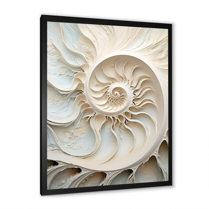Ivory Infinity Sea Sheel Spiral - Nautilus Framed Canvas Art