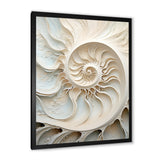 Ivory Infinity Sea Sheel Spiral - Nautilus Framed Canvas Art
