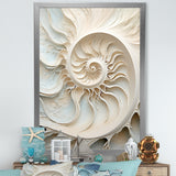 Ivory Infinity Sea Sheel Spiral - Nautilus Framed Canvas Art