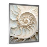 Ivory Infinity Sea Sheel Spiral - Nautilus Framed Canvas Art