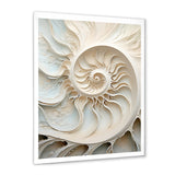 Ivory Infinity Sea Sheel Spiral - Nautilus Framed Canvas Art
