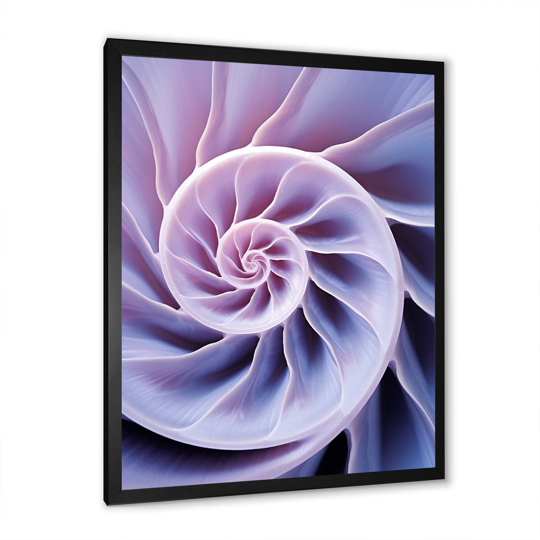Lavender Sea Sheel Infinity Spiral - Nautilus Home Decor Art
