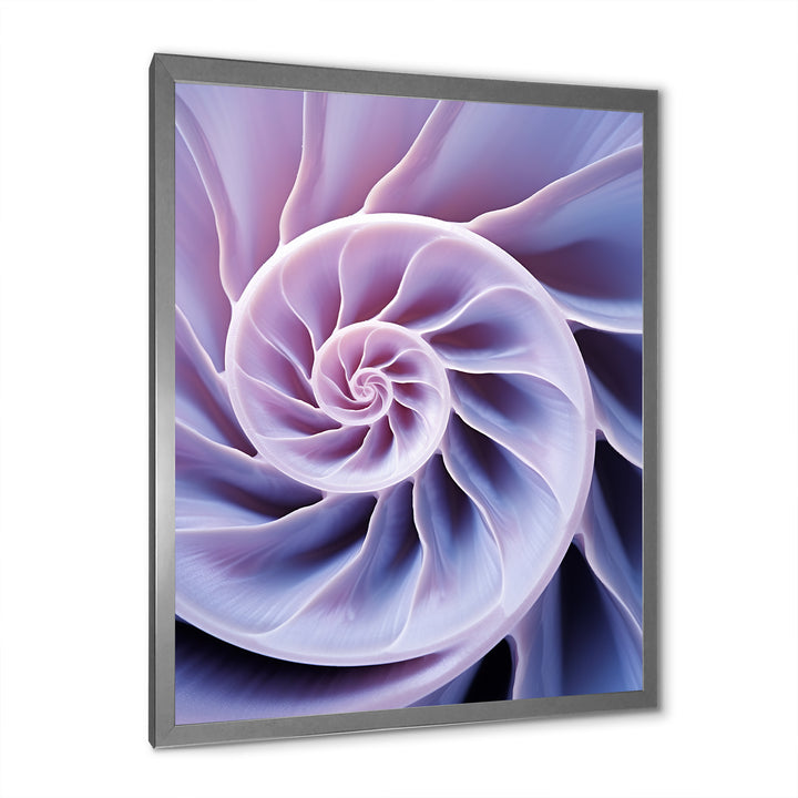 Lavender Sea Sheel Infinity Spiral - Nautilus Home Decor Art