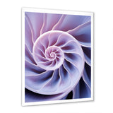 Lavender Sea Sheel Infinity Spiral - Nautilus Home Decor Art