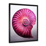 Magenta Marine Sea Sheel Spiral - Nautilus Bedroom Wall Art