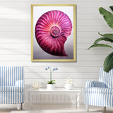 Magenta Marine Sea Sheel Spiral - Nautilus Bedroom Wall Art