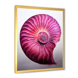 Magenta Marine Sea Sheel Spiral - Nautilus Bedroom Wall Art