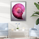 Magenta Marine Sea Sheel Spiral - Nautilus Bedroom Wall Art