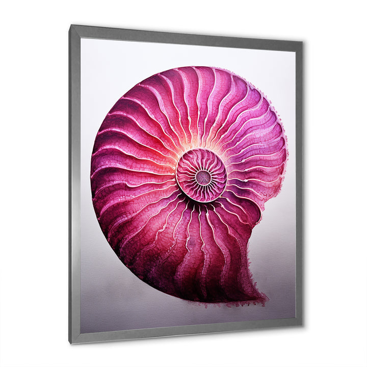 Magenta Marine Sea Sheel Spiral - Nautilus Bedroom Wall Art