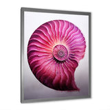 Magenta Marine Sea Sheel Spiral - Nautilus Bedroom Wall Art