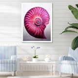 Magenta Marine Sea Sheel Spiral - Nautilus Bedroom Wall Art