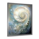 Blue And White Nautilus Pearl Passage - Nautilus Wall Art Prints