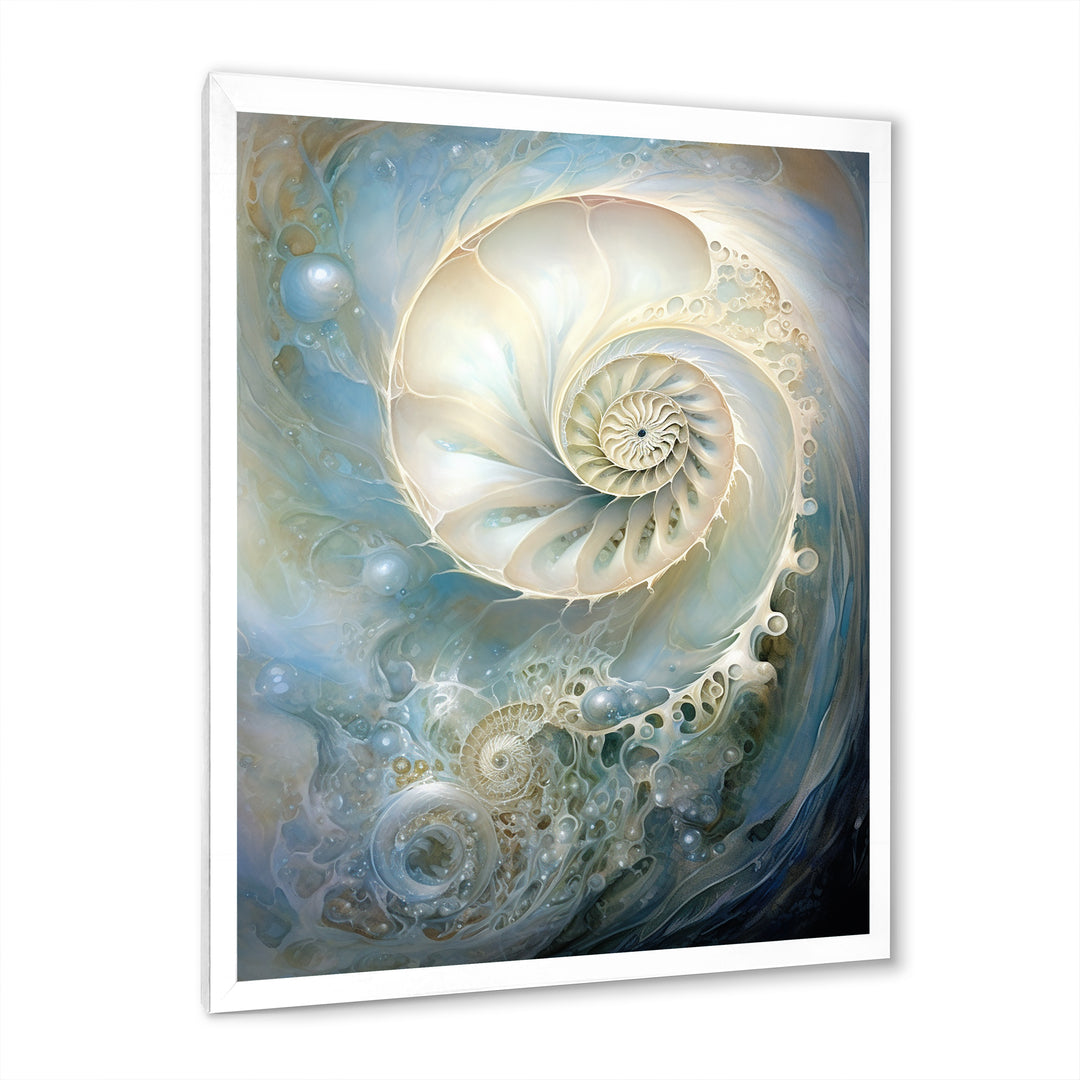 Blue And White Nautilus Pearl Passage - Nautilus Wall Art Prints