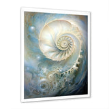 Blue And White Nautilus Pearl Passage - Nautilus Wall Art Prints
