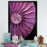 Nautilus Plum Shellfish - Purple Nautilus Wall Art