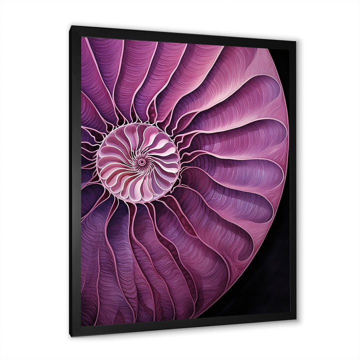 Nautilus Plum Shellfish - Purple Nautilus Wall Art