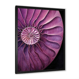 Nautilus Plum Shellfish - Purple Nautilus Wall Art