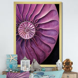 Nautilus Plum Shellfish - Purple Nautilus Wall Art