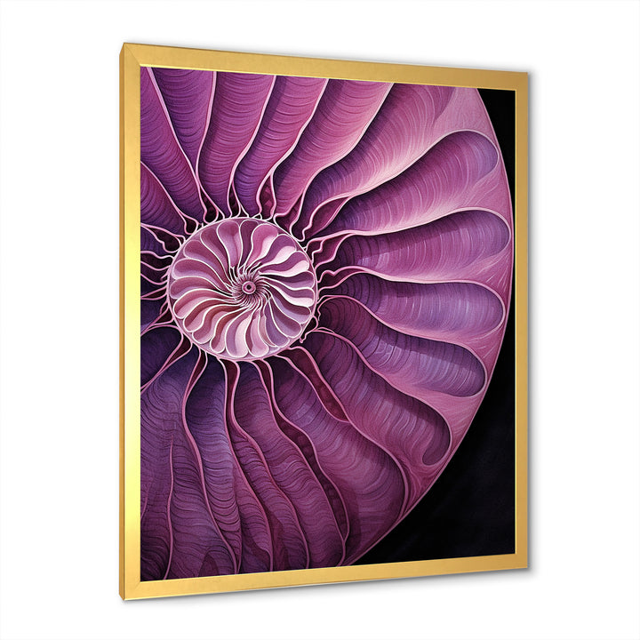 Nautilus Plum Shellfish - Purple Nautilus Wall Art