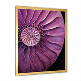 Nautilus Plum Shellfish - Purple Nautilus Wall Art