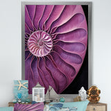 Nautilus Plum Shellfish - Purple Nautilus Wall Art