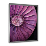 Nautilus Plum Shellfish - Purple Nautilus Wall Art