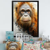 Brown Orangutan In Rainforest - Orangutan Wall Art Prints
