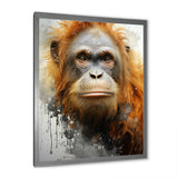 Brown Orangutan In Rainforest - Orangutan Wall Art Prints