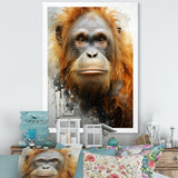Brown Orangutan In Rainforest - Orangutan Wall Art Prints