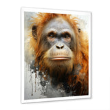 Brown Orangutan In Rainforest - Orangutan Wall Art Prints
