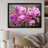 Pink Orchids Oasis I - Floral Canvas Wall Art