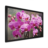 Pink Orchids Oasis I - Floral Canvas Wall Art